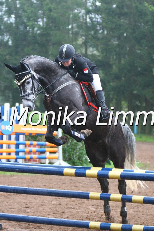 005L4671_Gucci Boy_Springpferde A xx.JPG